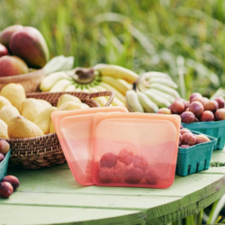 Silicone Sandwich Bag [STASHER]