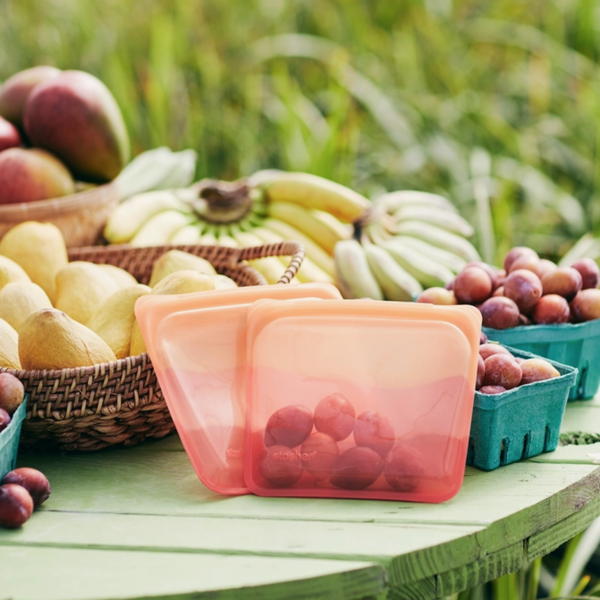 Silicone Sandwich Bag [STASHER]