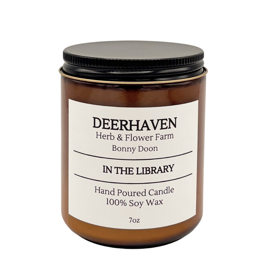 Soy Candles