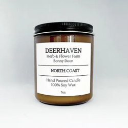 Soy Candles