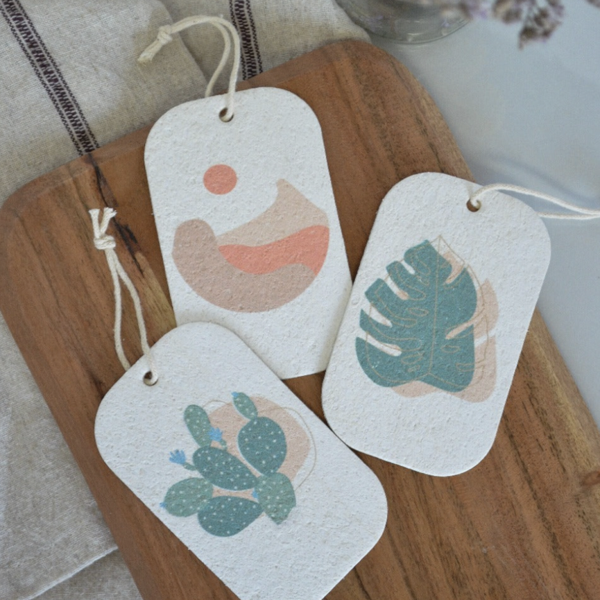 Pop Up Sponges (3 Pack)