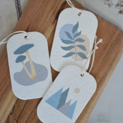 Pop Up Sponges (3 Pack)