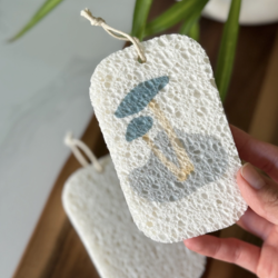 Pop Up Sponges (3 Pack)