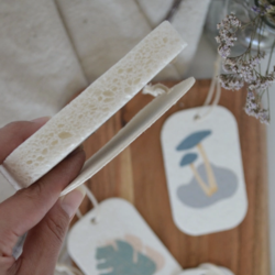 Pop Up Sponges (3 Pack)