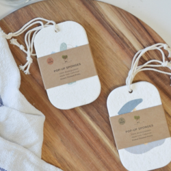 Pop Up Sponges (3 Pack)