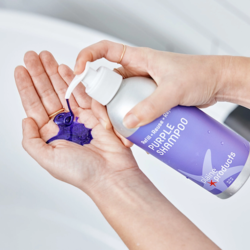 Bottled Shampoo [PLAINE] Purple