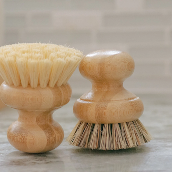 bristle dish brushes