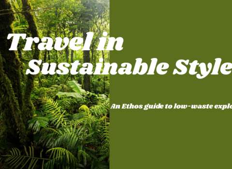 Travel in Sustainable Style
