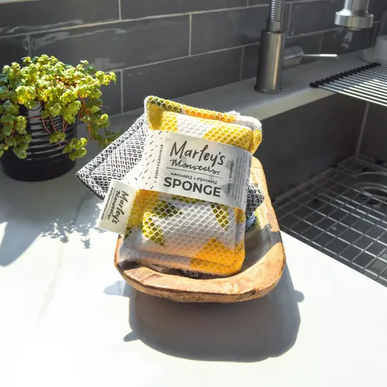 Reusable Sponge Surprise Print