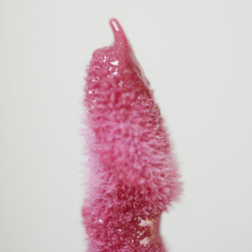 Minori Lip Gloss