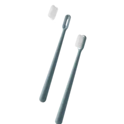 Replaceable Head Toothbrush