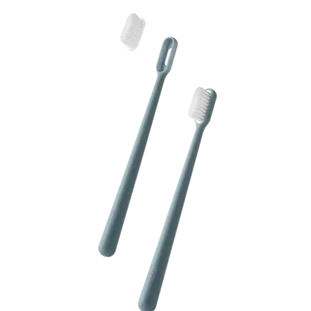 Replaceable Head Toothbrush