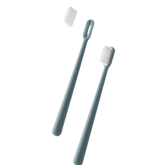 Replaceable Head Toothbrush