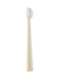 Replaceable Head Toothbrush