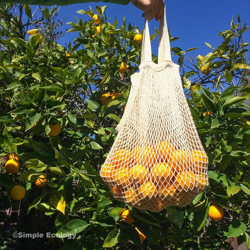 String Bag