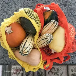 String Bag