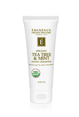 *Tea Tree & Mint Hand Cleanser