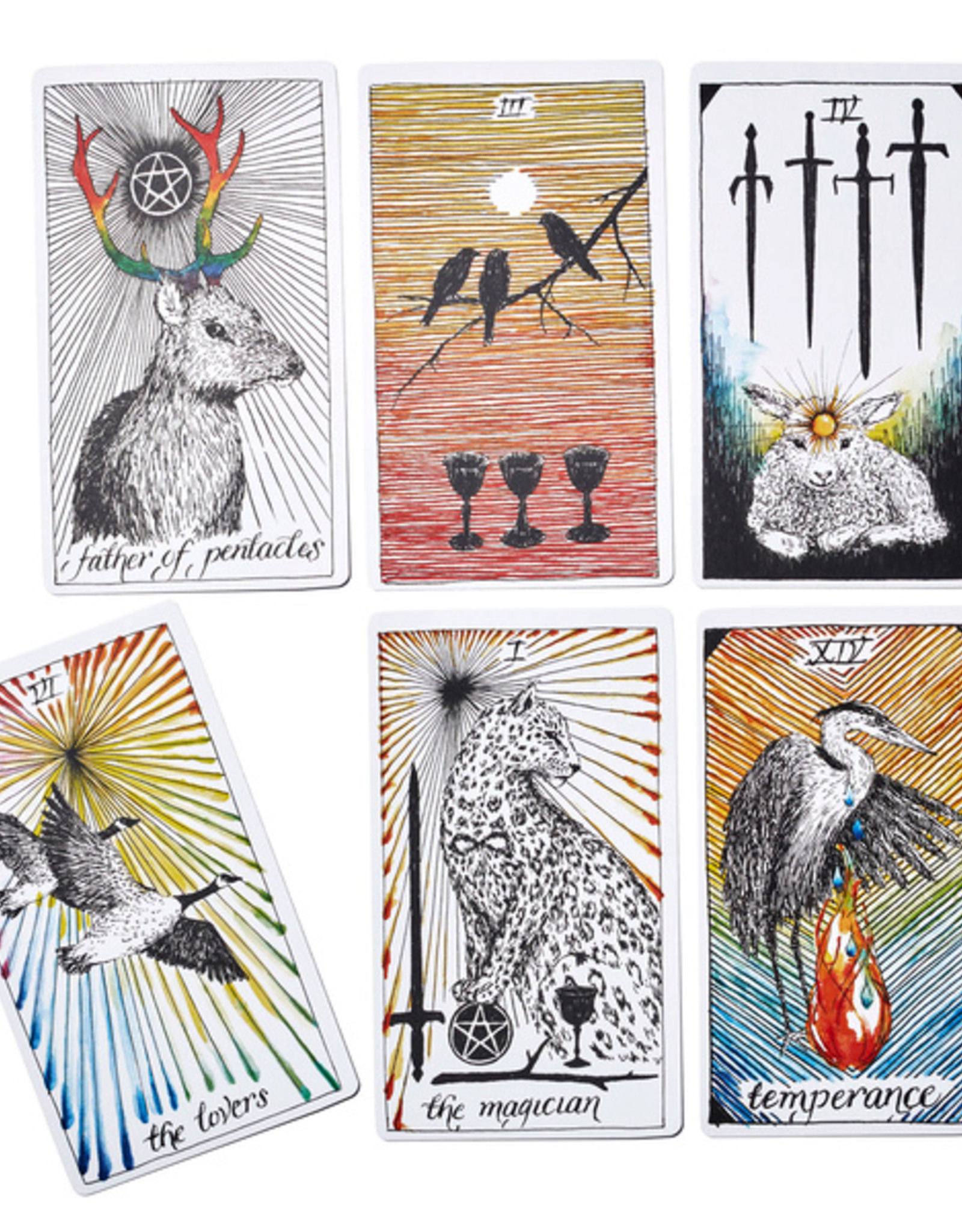 Wild Unknown Tarot Deck
