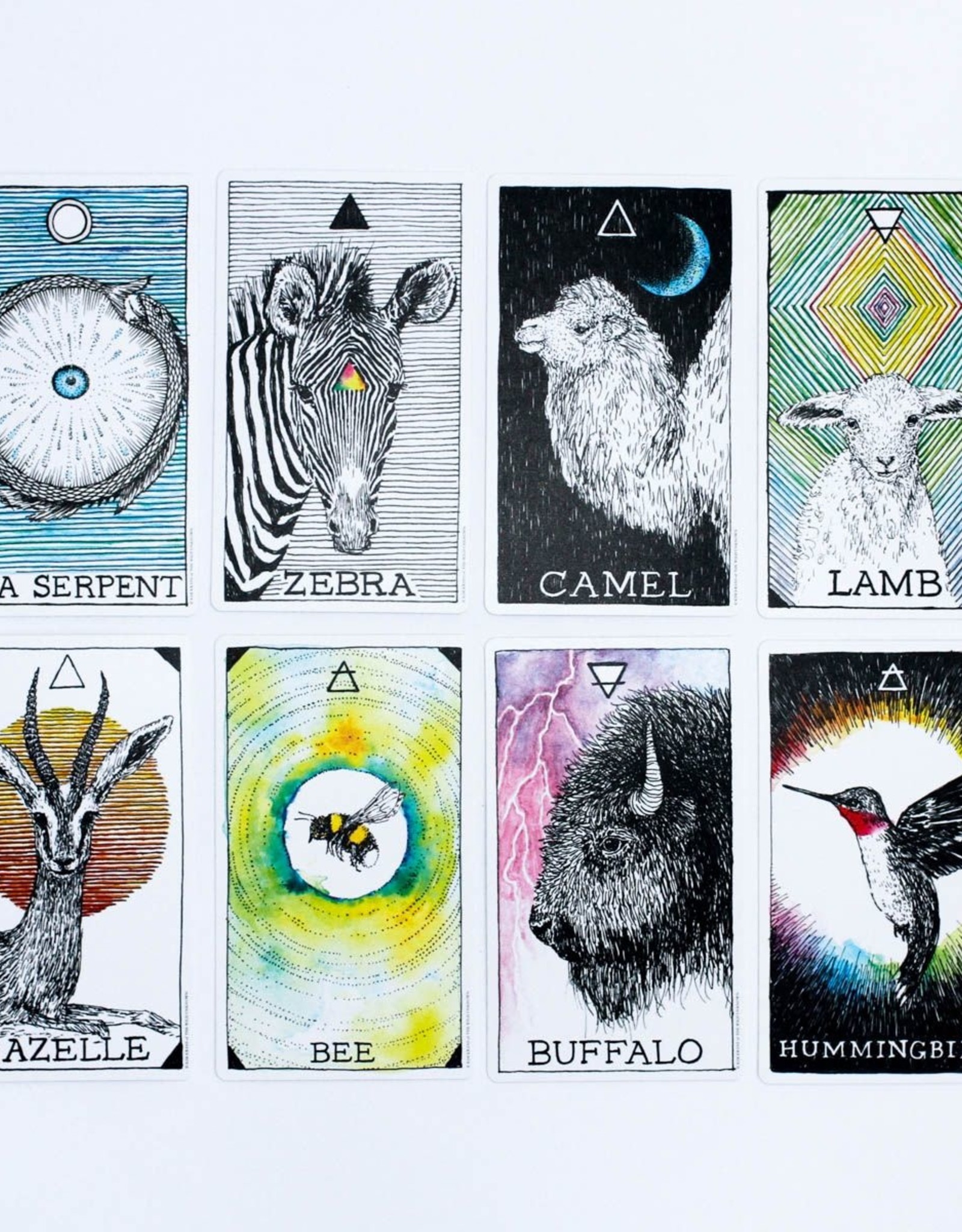 Wild Unknown Animal Spirit Deck