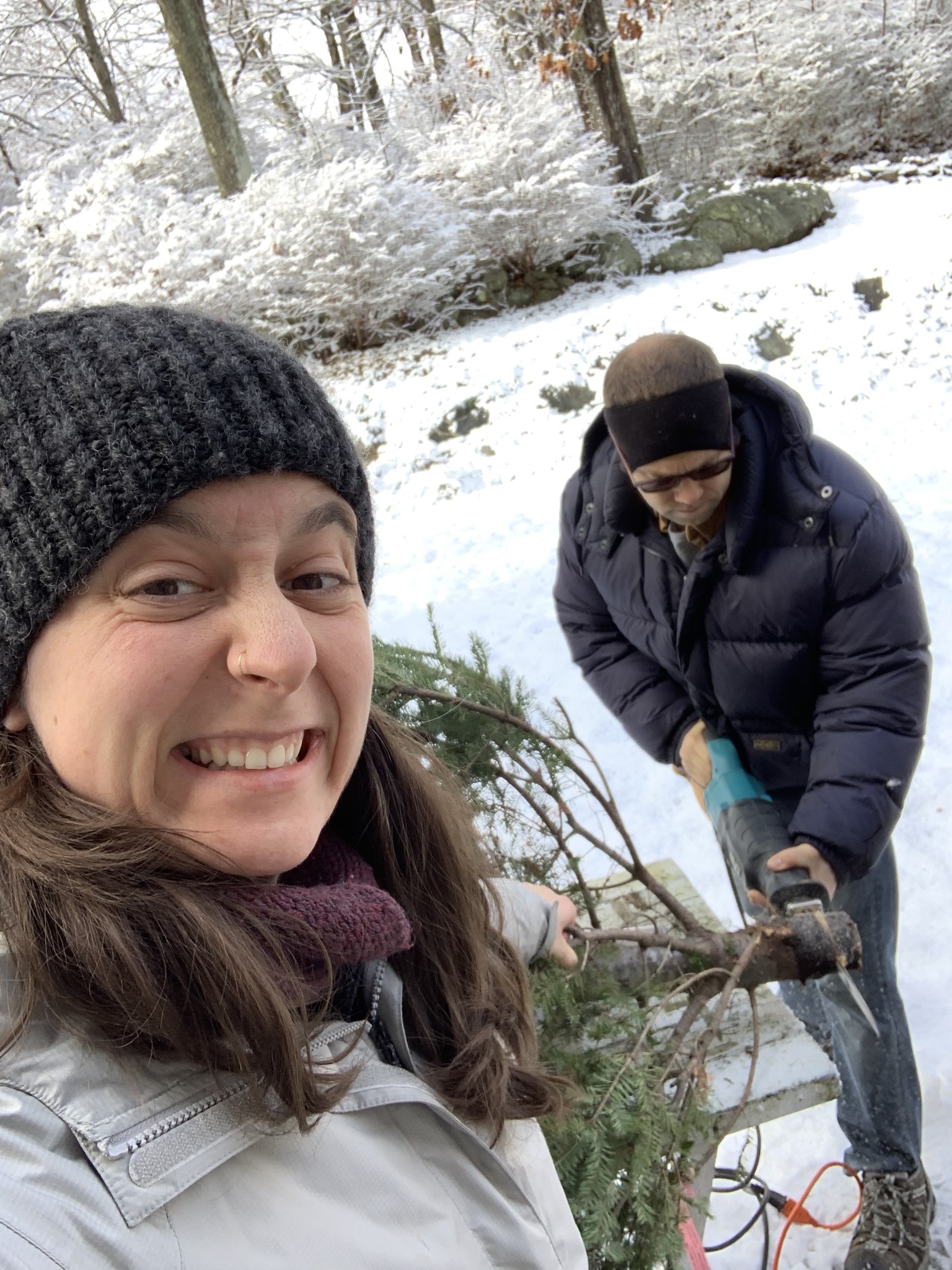 Recutting The Tree