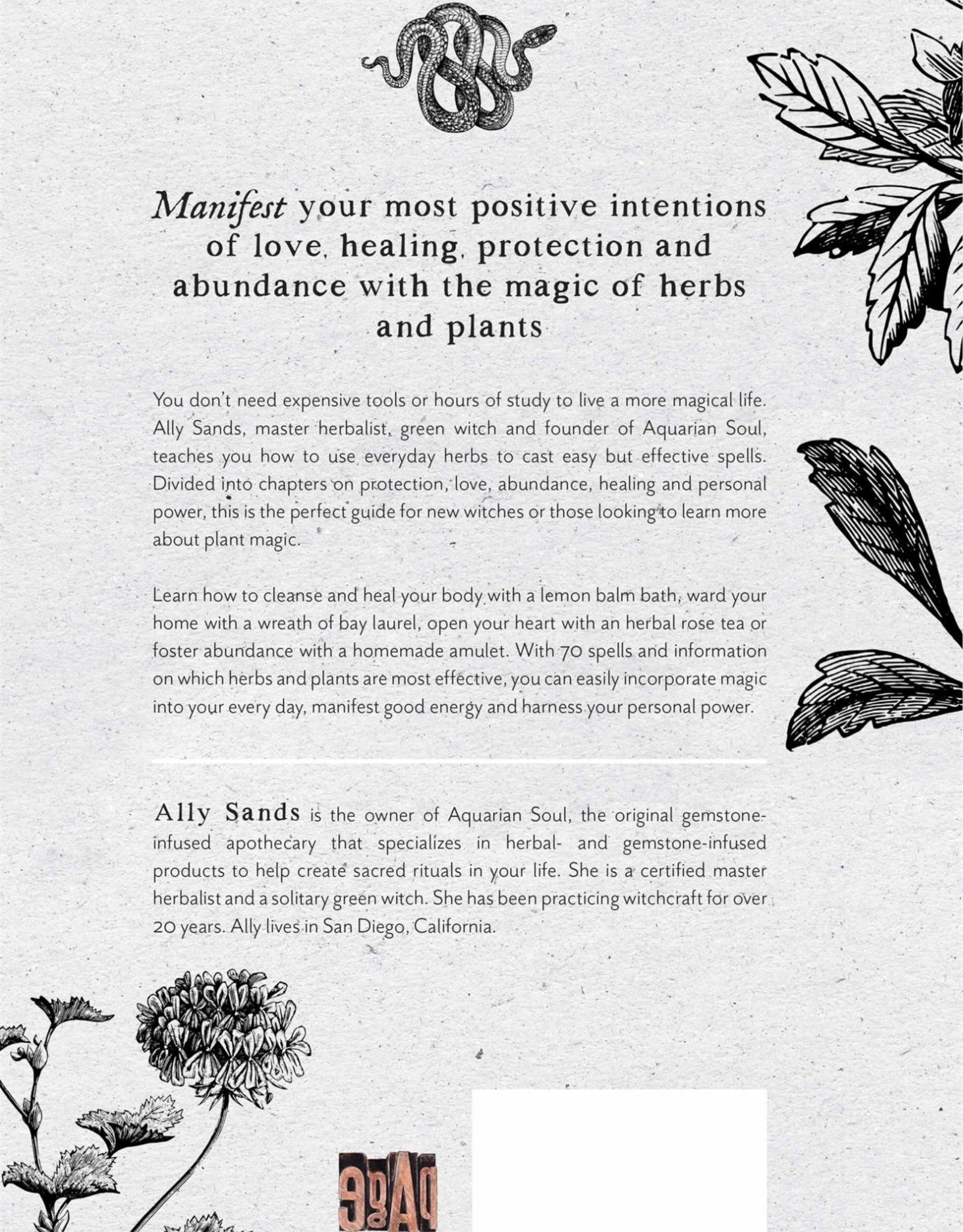 Plant Magic For The Beginner Witch
