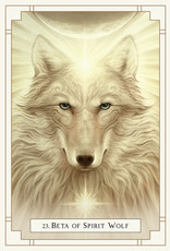White Light Oracle