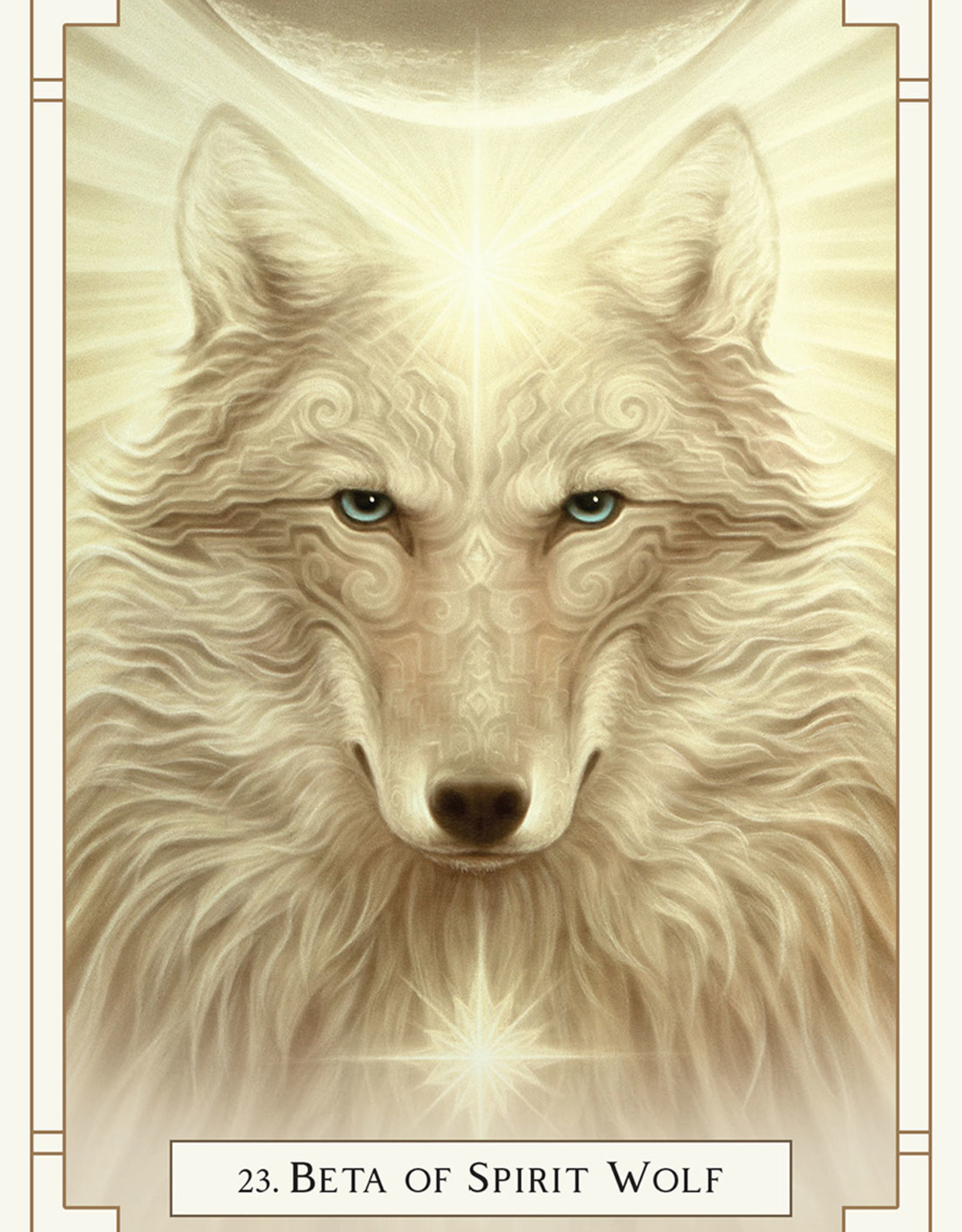 White Light Oracle