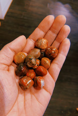 Brecciated Jasper Tumbled