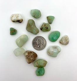 *Minec *Chrysoprase Tumbled | 10-20MM | Brazil