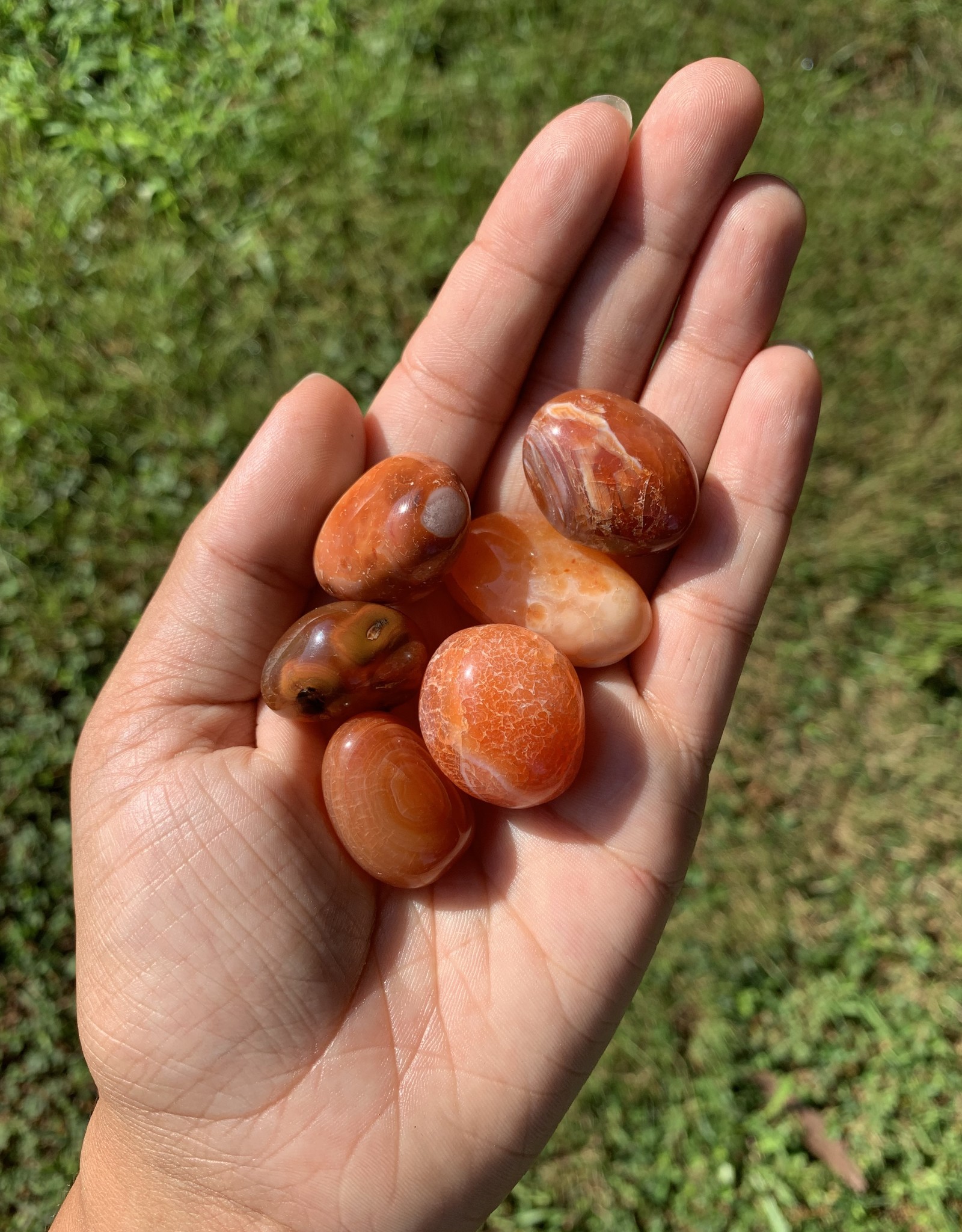 Carnelian Tumbled | 30-50MM | Brazil