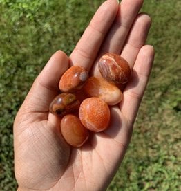 Rock Shop Carnelian | Tumbled | 30-50mm | Brazil