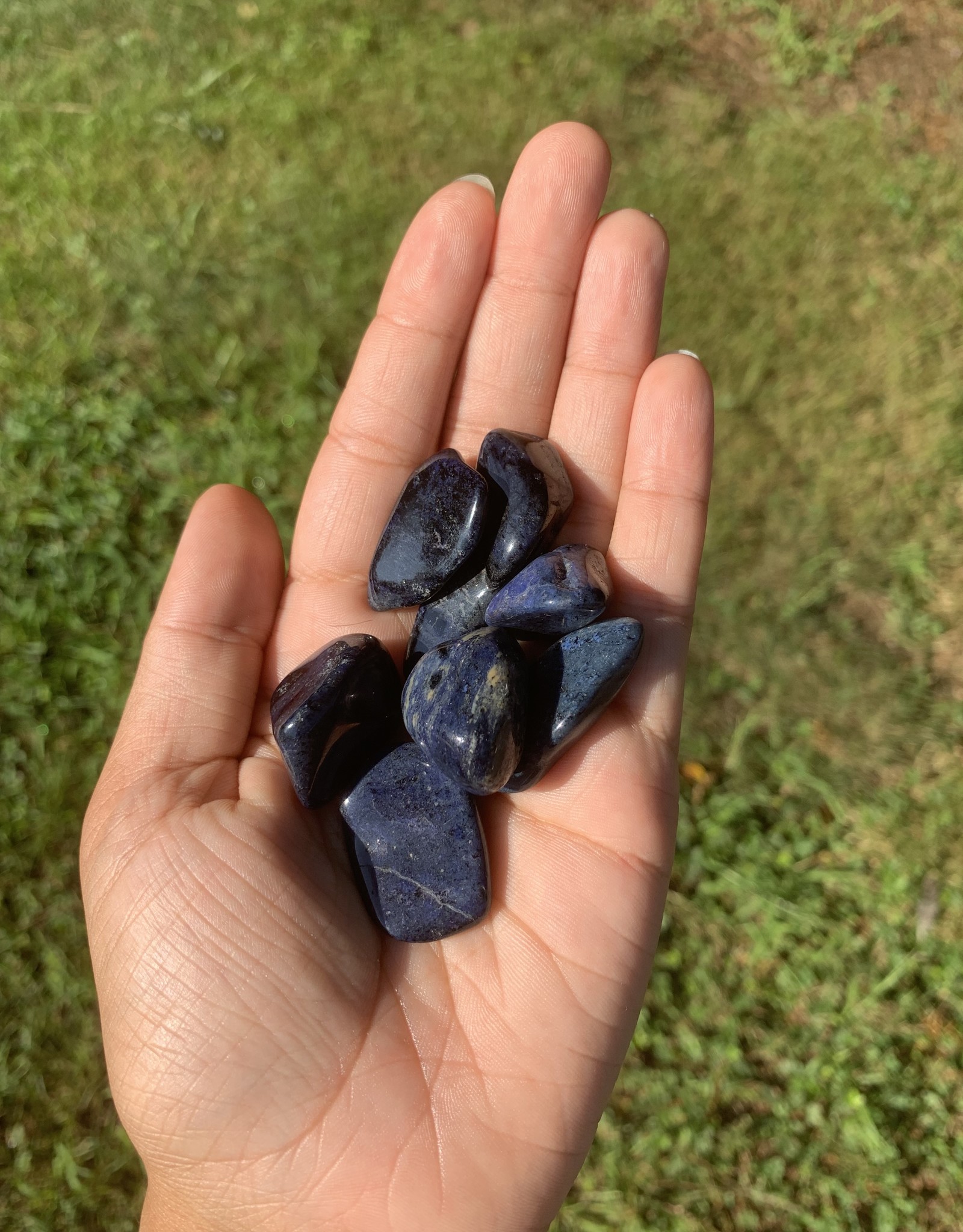 Dumortierite Tumbled | 10-35MM | Mozambique