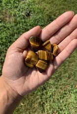 Pelham Grayson Golden Tiger Eye Tumbled | 20-35MM | Africa