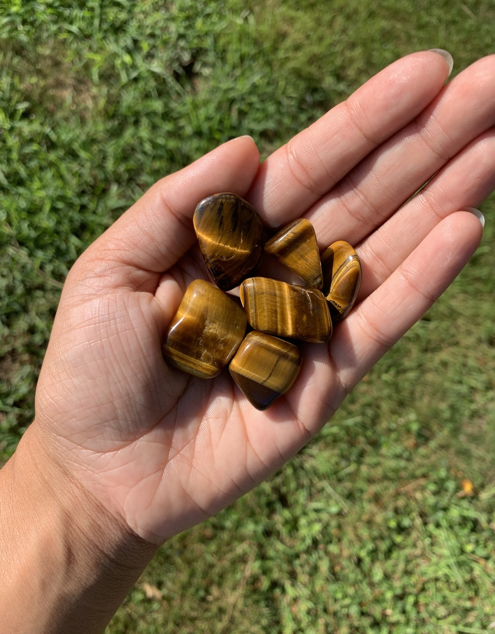 Pelham Grayson Golden Tiger Eye Tumbled | 20-35MM | Africa