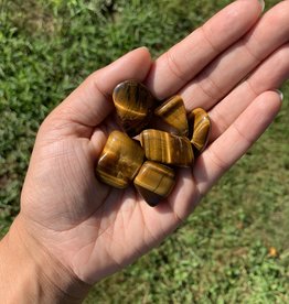 Tiger Eye | Tumbled | 20-35mm | Africa