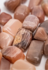 Nima Healing Coffee Moonstone | Tumbled | 10-20mm | India