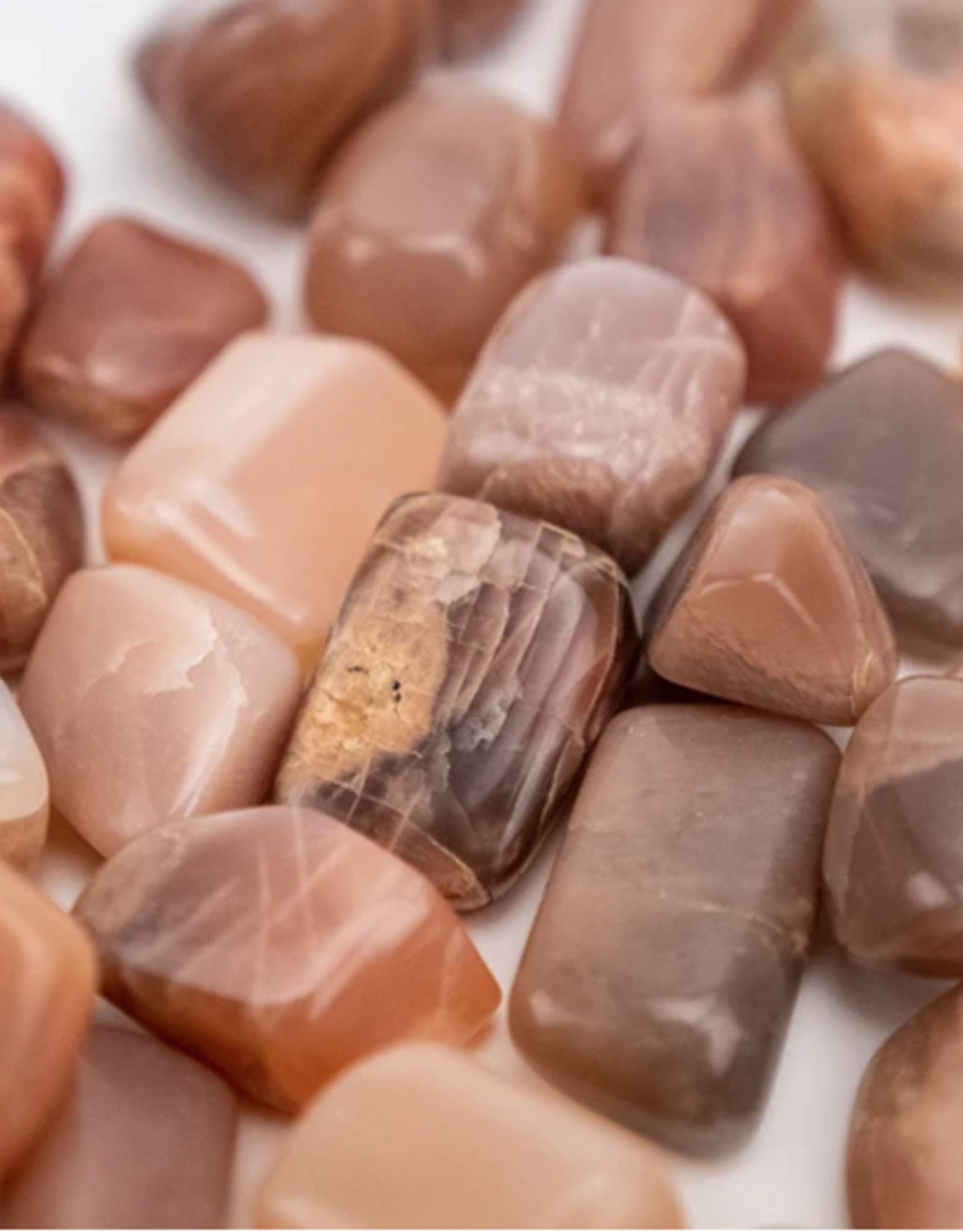 Nima Healing Coffee Moonstone | Tumbled | 10-20mm | India