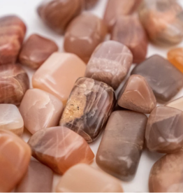 Nima Healing Coffee Moonstone | Tumbled | 10-20mm | India