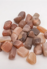 Nima Healing Coffee Moonstone | Tumbled | 10-20mm | India