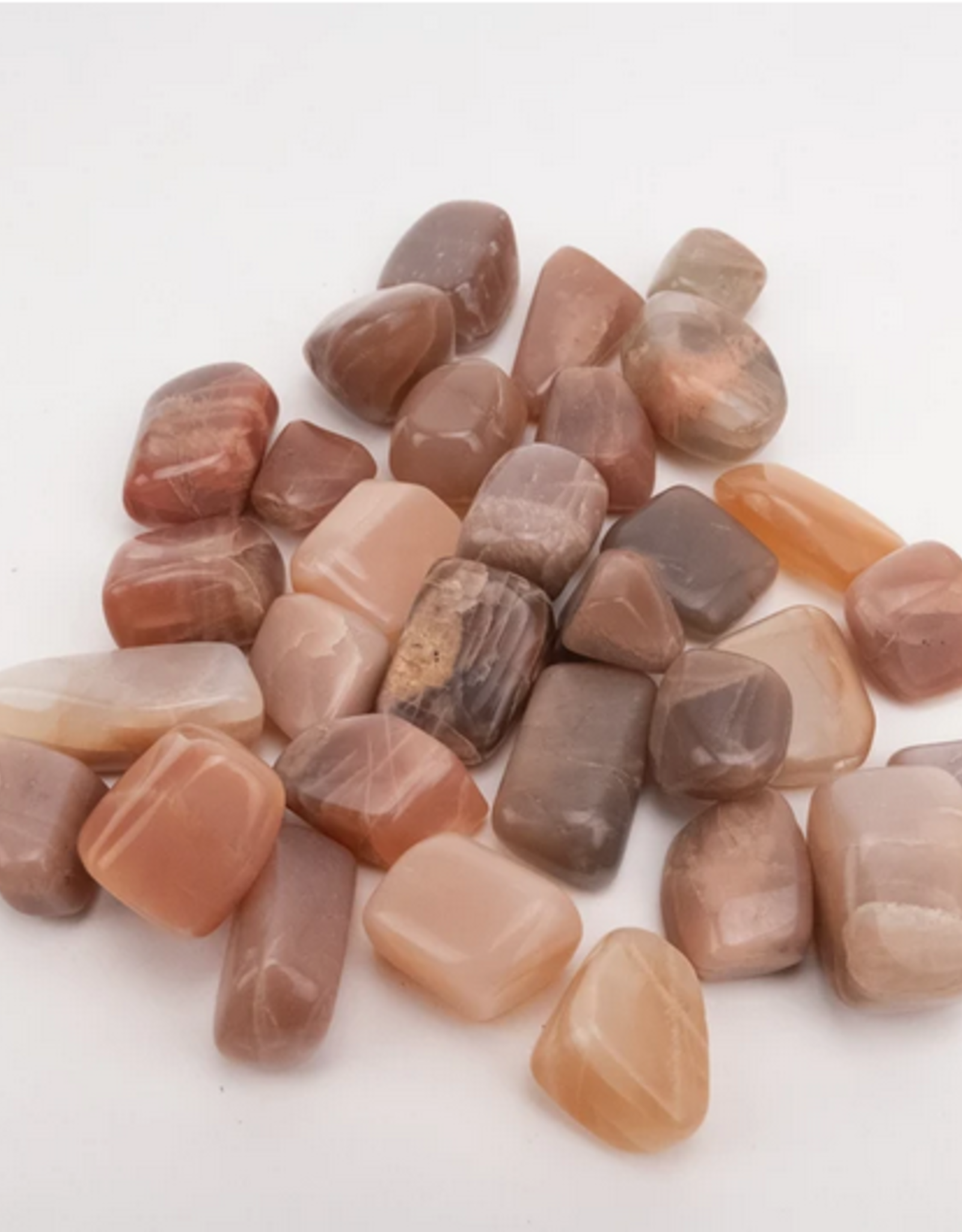 Nima Healing Coffee Moonstone | Tumbled | 10-20mm | India