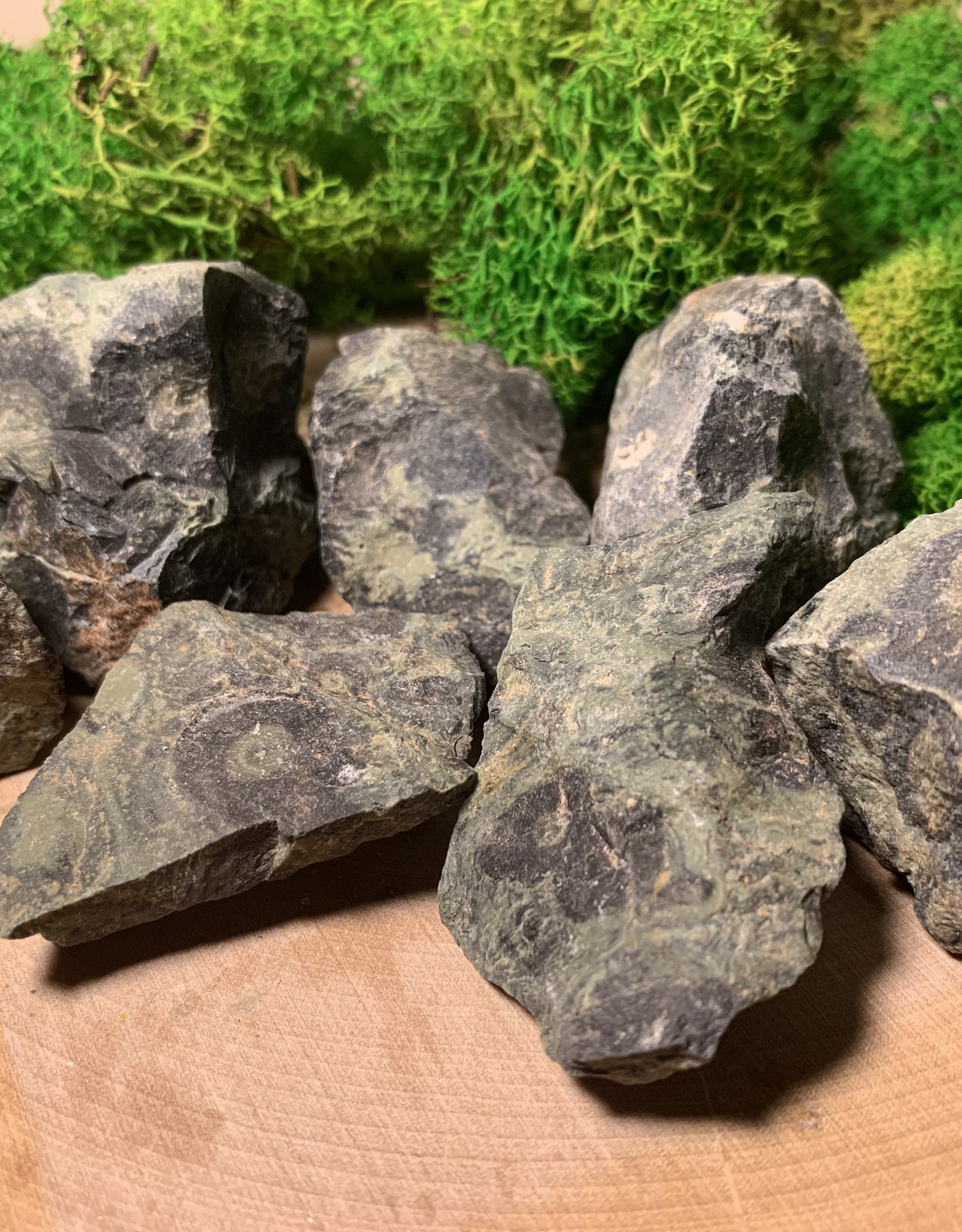 Kambaba Jasper Rough | 30-40MM | Madagascar