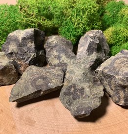 Kambaba Jasper Rough | 30-40MM | Madagascar