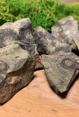 Kambaba Jasper Rough | 30-40MM | Madagascar