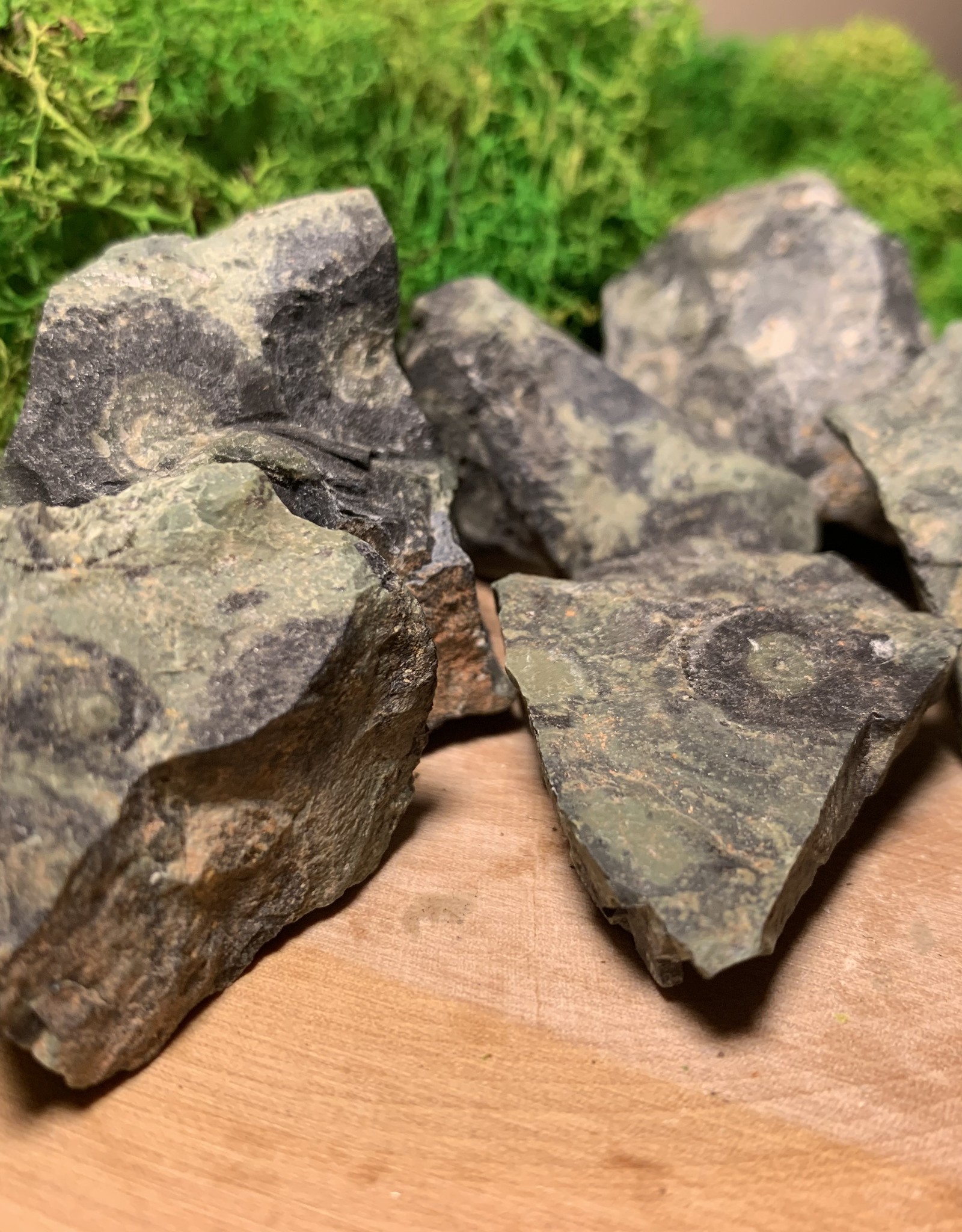 Kambaba Jasper Rough | 30-40MM | Madagascar