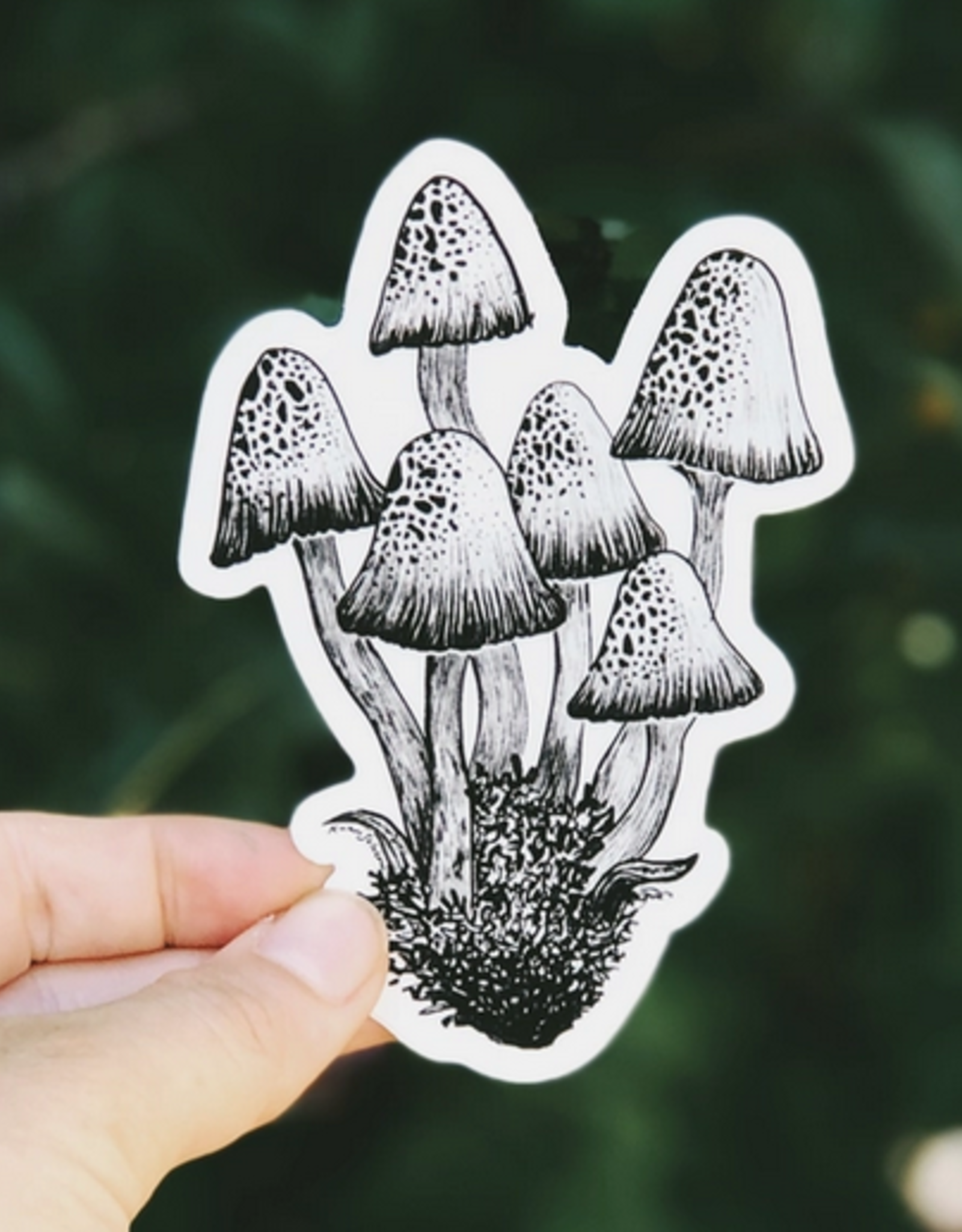 *Kaari + Co *Mushroom II Vinyl Sticker