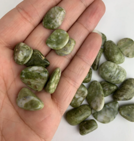 Snowflake Epidote | Tumbled | South Africa