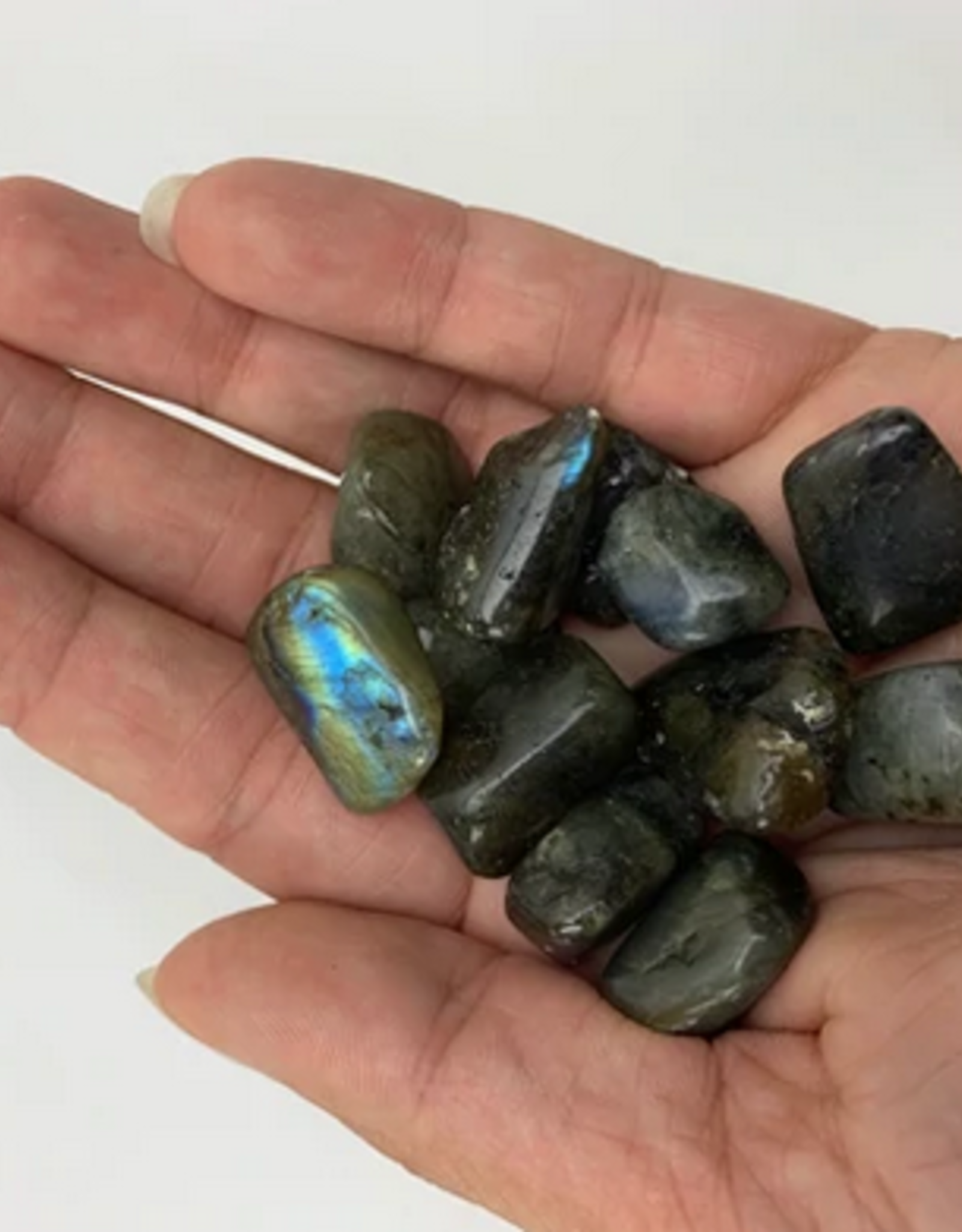 Labradorite Tumbled | 30-50mm | Madagascar