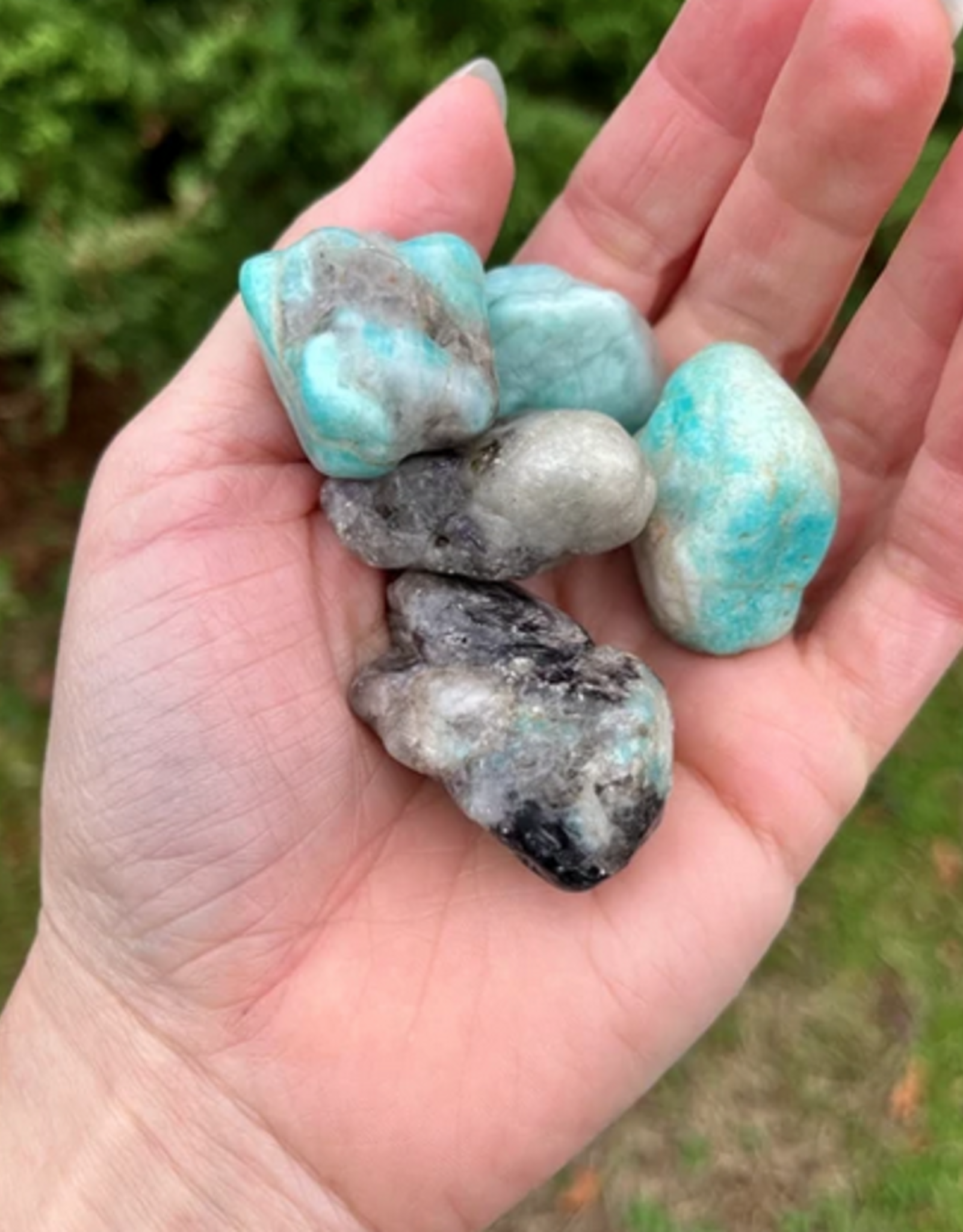 Amazonite Rough 30-45mm