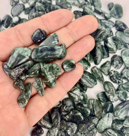 Seraphinite Tumbled | 10-15mm | Russia