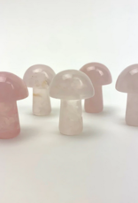 *Mini Magic Mushrooms |